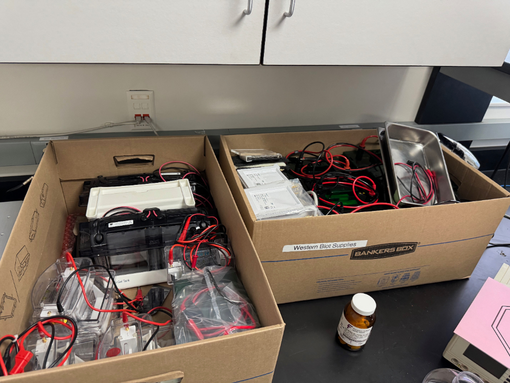 Image of Electrphoresis Gel Boxes and Parts
